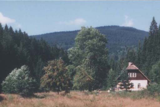 Idina pila  r.2001