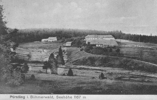 Beznk, nejdetivj kout umavy r.1915