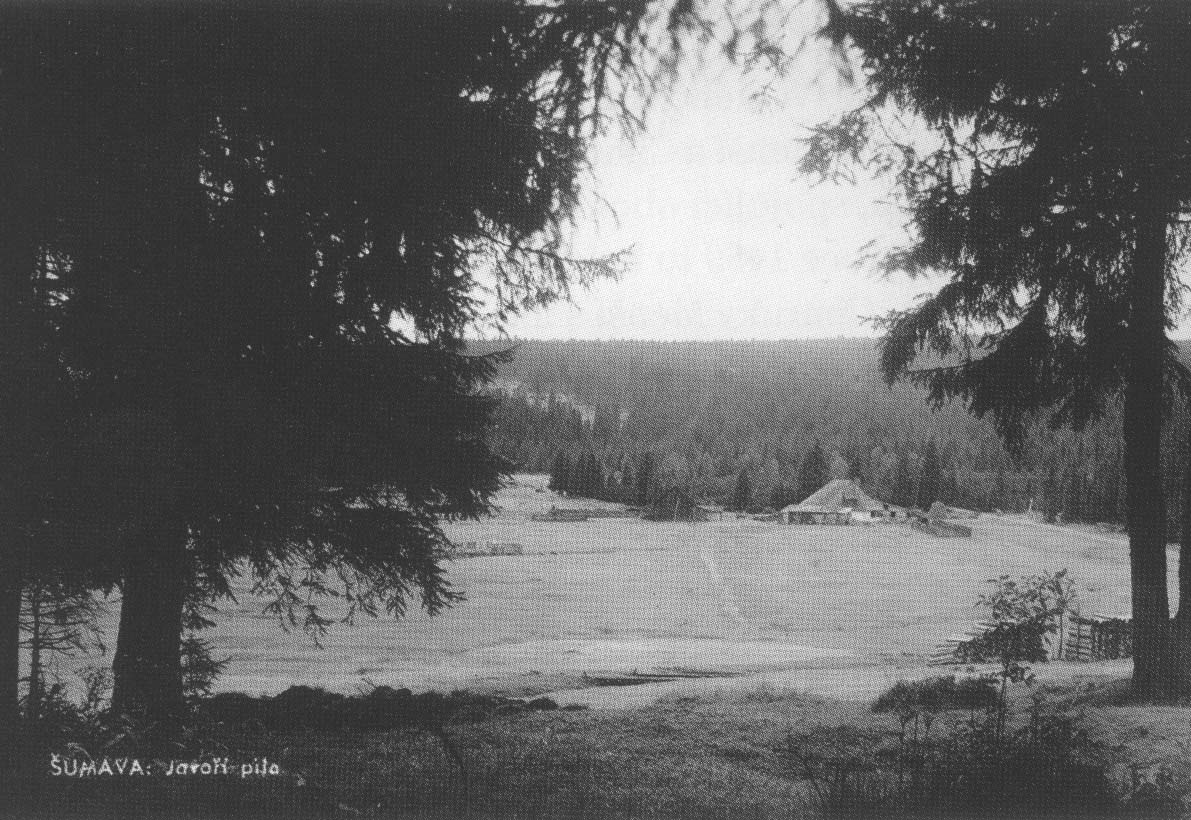 Pohled od Javo Pily smrem k soutoku Javoho a Tmavho potoka r.1930