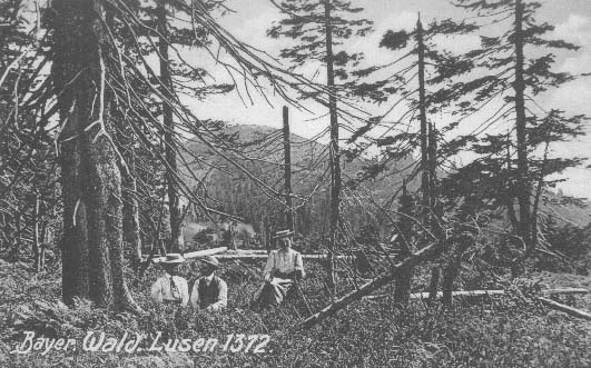 Vletnci pod Luznm  r.1912