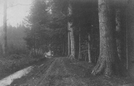 Partie na cestě podél kanálu  r.1918