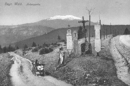 Umrl prkna na rozcest, v pozad zasnen Velk Javor r.1913