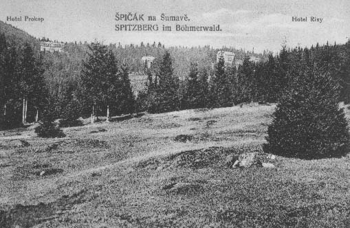 Spolen pohled hotel Prokop a Rixi  r.1920