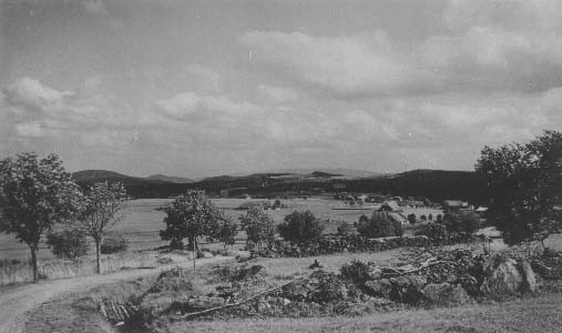 Cesta od Buiny  r.1930