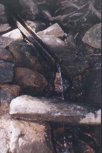 Pramen Vltavy  r.2001