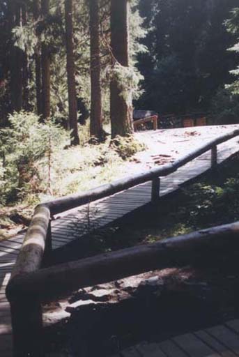 Pramen Vltavy  r.2001