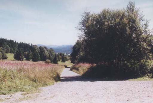 Rozcest na Buin  r.2001