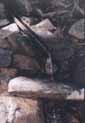 Pramen Vltavy  r.2001