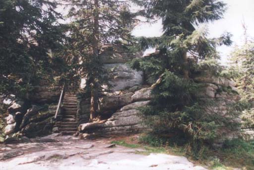 Tstolink  r.2001